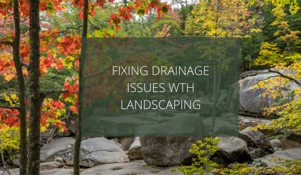 landscaping to fix drainage issues 