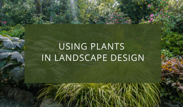 Using Plants in Landscape Design