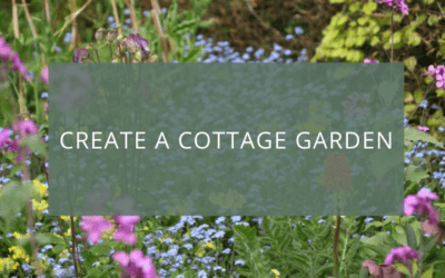 Create a Cottage Garden