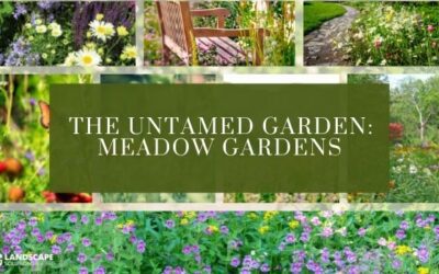 Meadow Gardens in landscaping