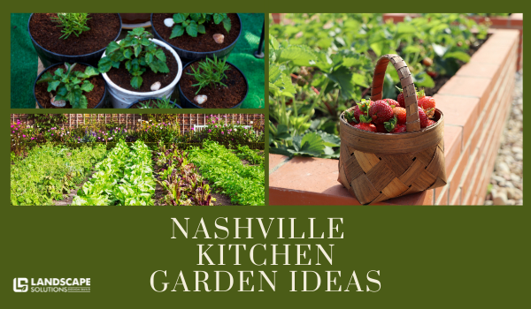 Nashville Kitchen Gardens