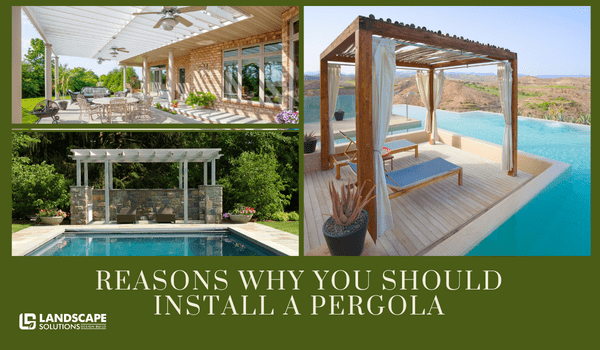 Reasons Why You Should Install a Pergola