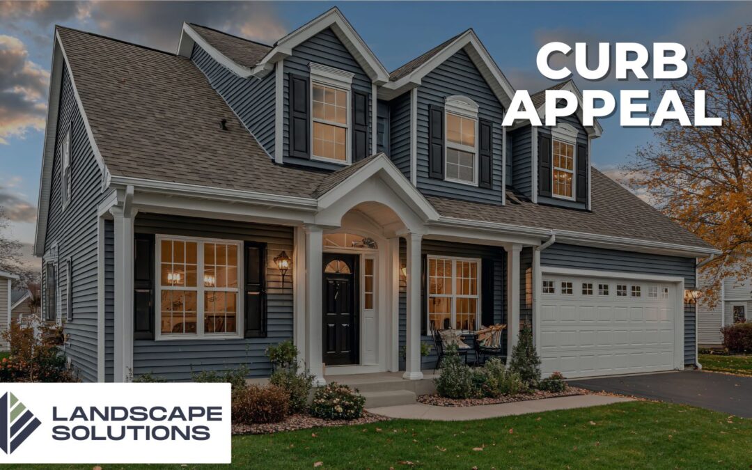 Maximize Curb Appeal with Landscape Design: Tips from the Experts