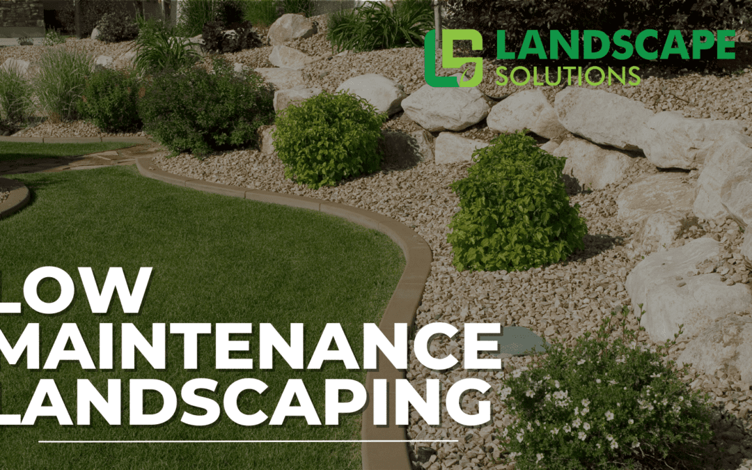 Creating A Low-Maintenance Landscape for Busy Homeowners