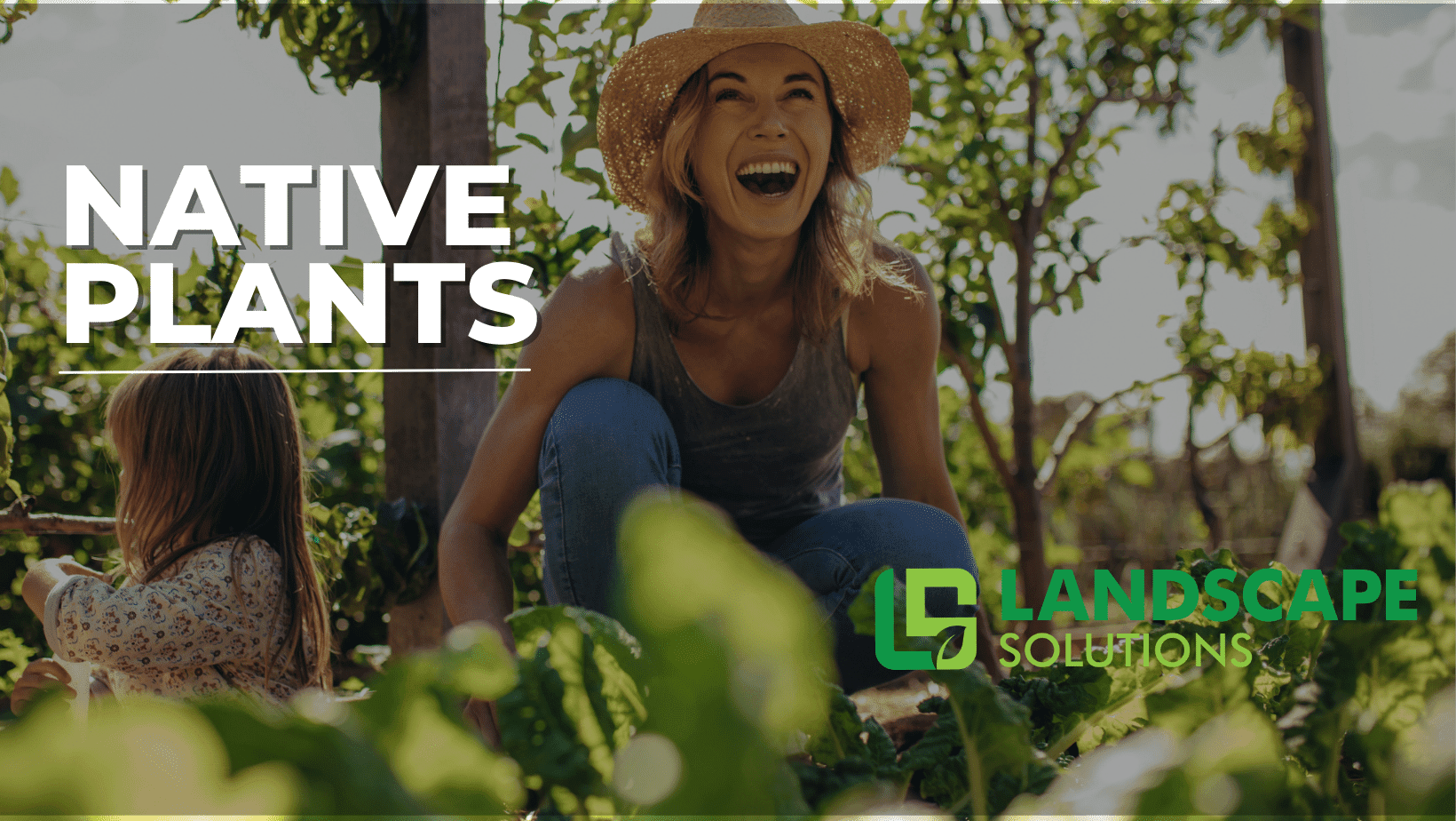 Colorful Native Plants For Nashville & Middle Tennessee Landscape