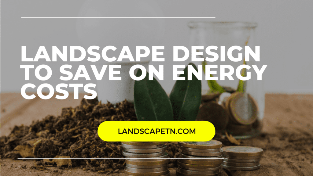 Lowering Energy Costs Through Landscaping