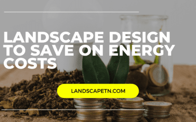 Lowering Energy Costs Through Landscaping