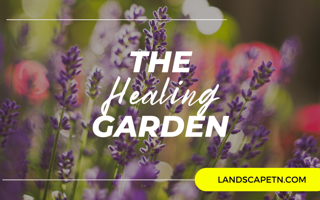 How Landscapes Can Promote Wellness and Relaxation