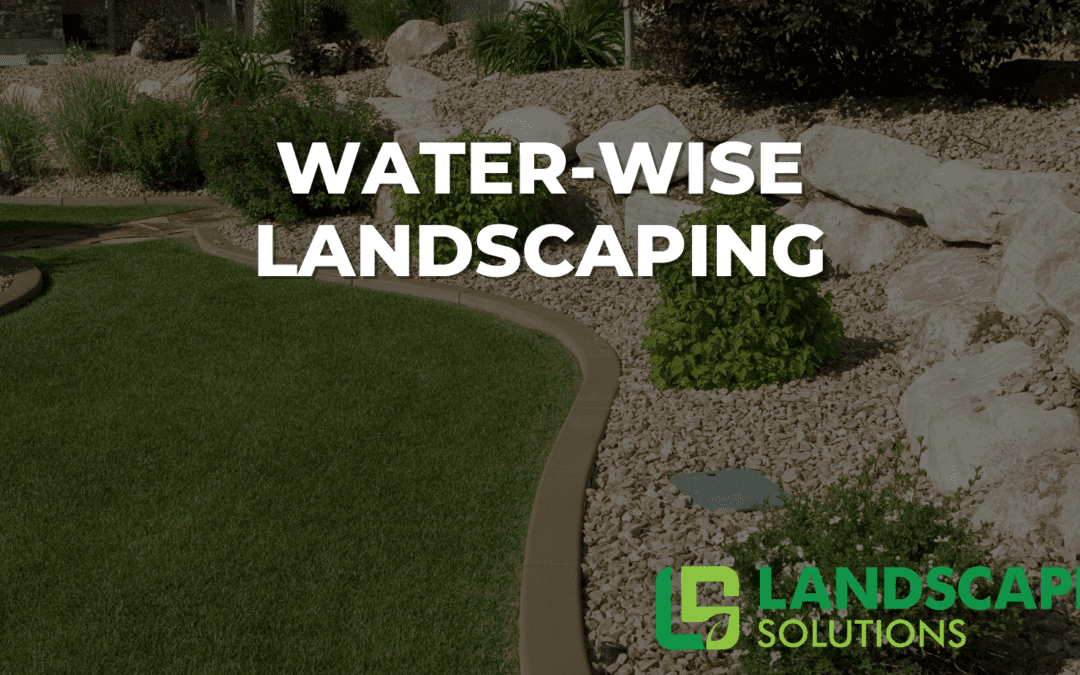 Water-Wise Landscaping: Sustainable Solutions for a Greener Future