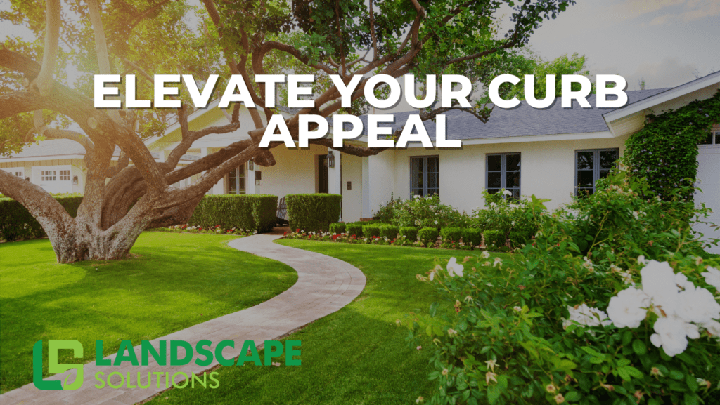 elevate your curb appeal