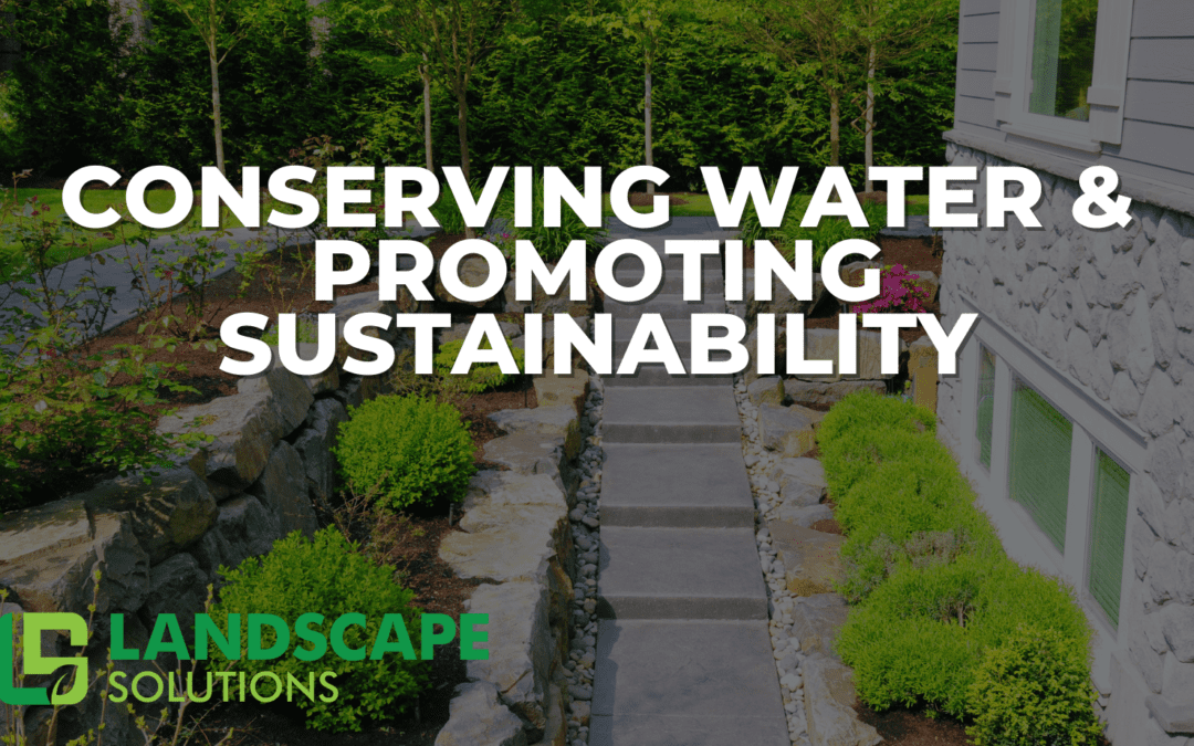 Strategies for Conserving Water and Promoting Sustainability