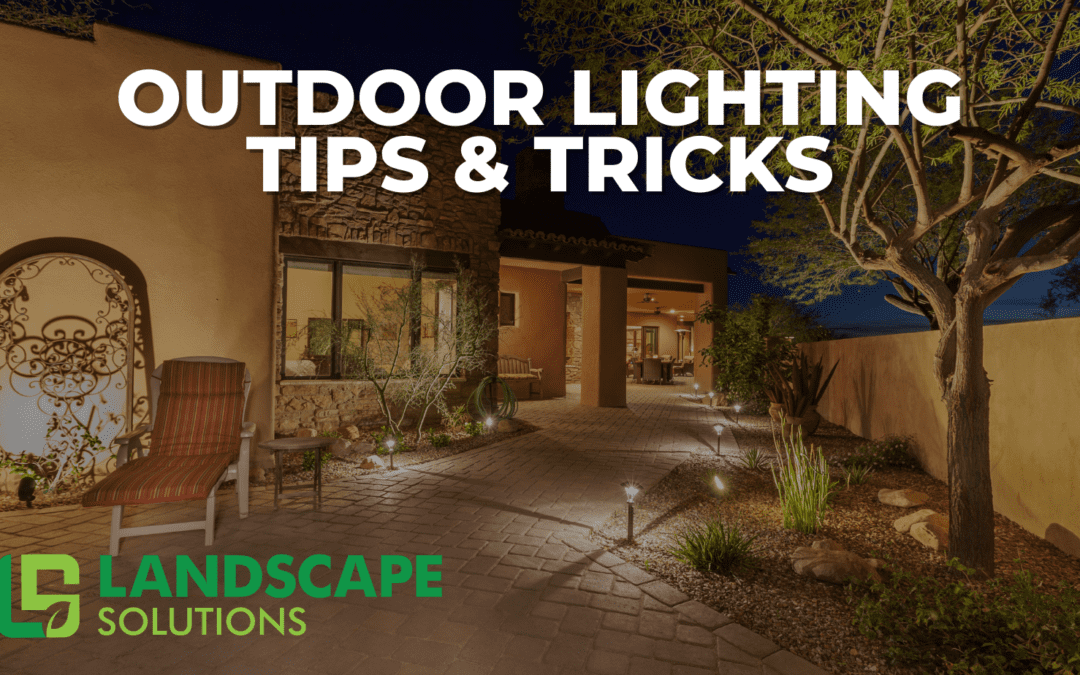 Outdoor Landscape Lighting Dos and Don’ts