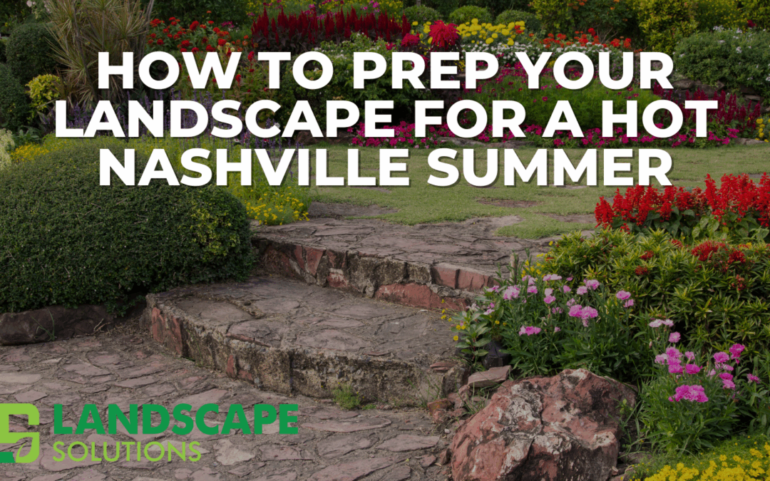 How to Prep Your Landscape for a Hot Nashville Summer