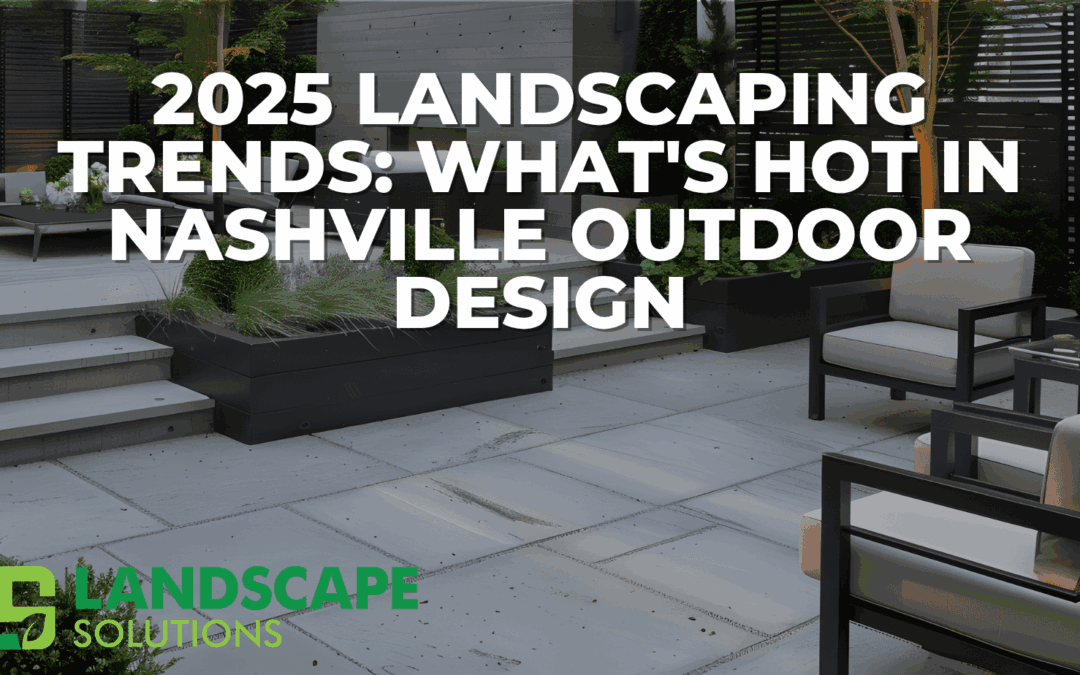 2025 Landscaping Trends: What’s Hot in Nashville Outdoor Design