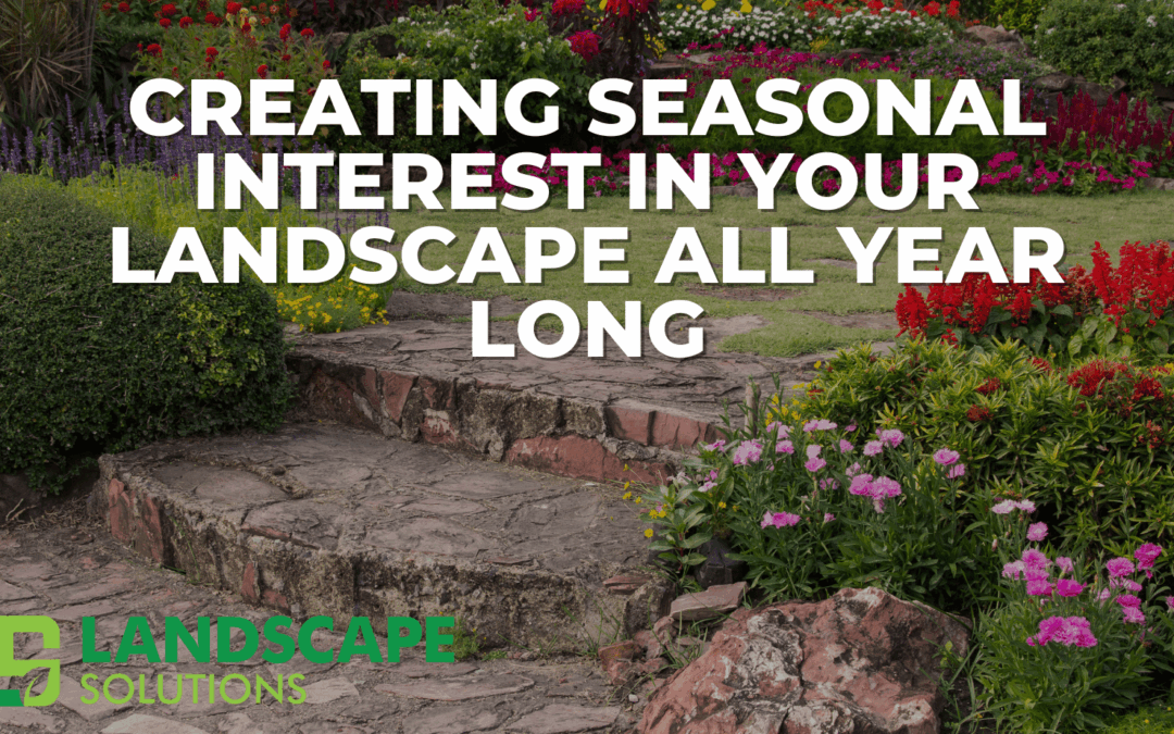 Creating Seasonal Interest in Your Landscape All Year Long