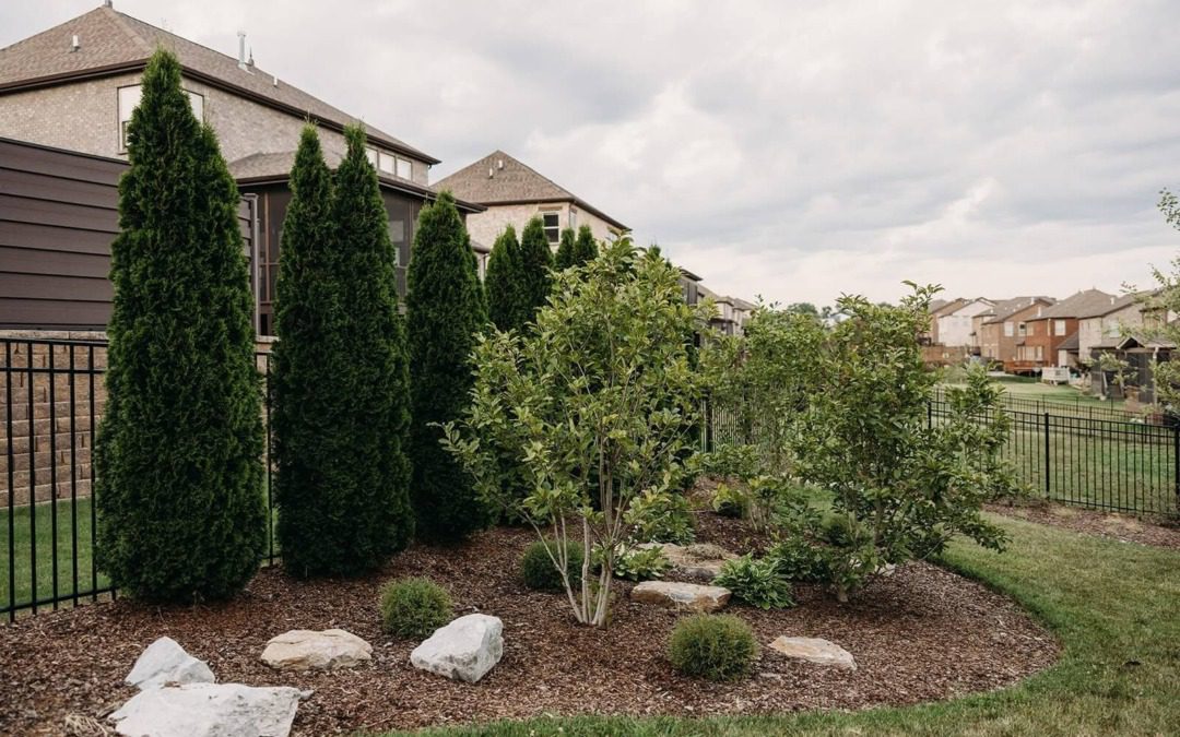 Landscaping for Privacy in Brentwood and Franklin: Trees, Walls, and Pergolas That Work