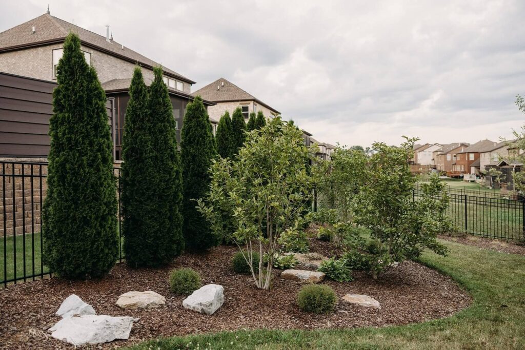 Landscaping privacy