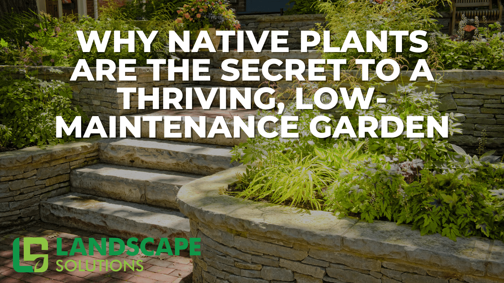 Natural-looking Tennessee garden featuring native plants like coneflowers and black-eyed Susans—an example of a low-maintenance, eco-friendly landscape design by Landscape Solutions.