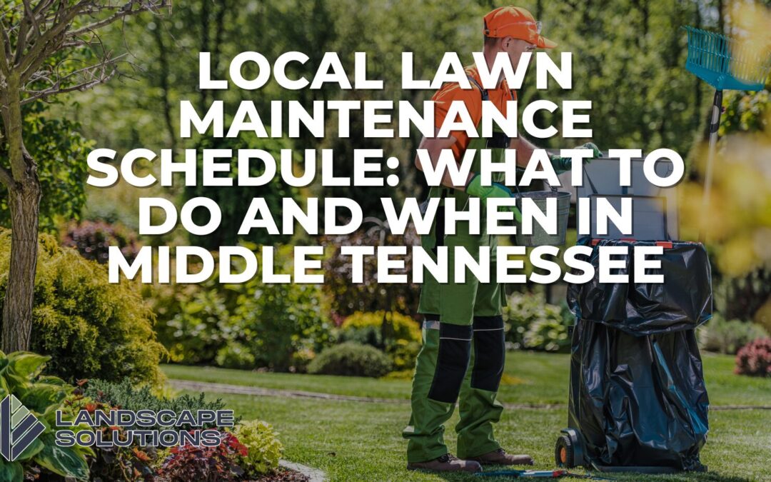 Local Lawn Maintenance Schedule: What To Do and When in Middle Tennessee