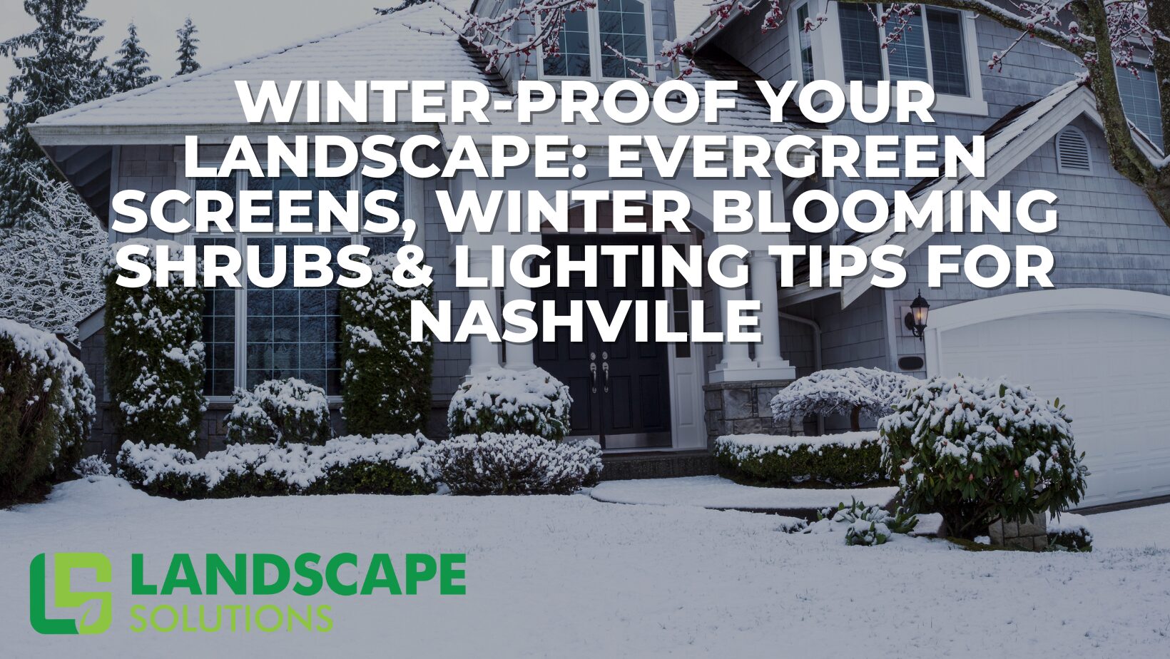 Snow-covered front yard with evergreen shrubs and exterior lighting, illustrating winter landscape design and cold-weather planting ideas for Nashville homes.