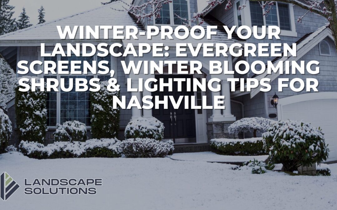 Winter-Proof Your Landscape: Evergreen Screens, Winter Blooming Shrubs & Lighting Tips for Nashville