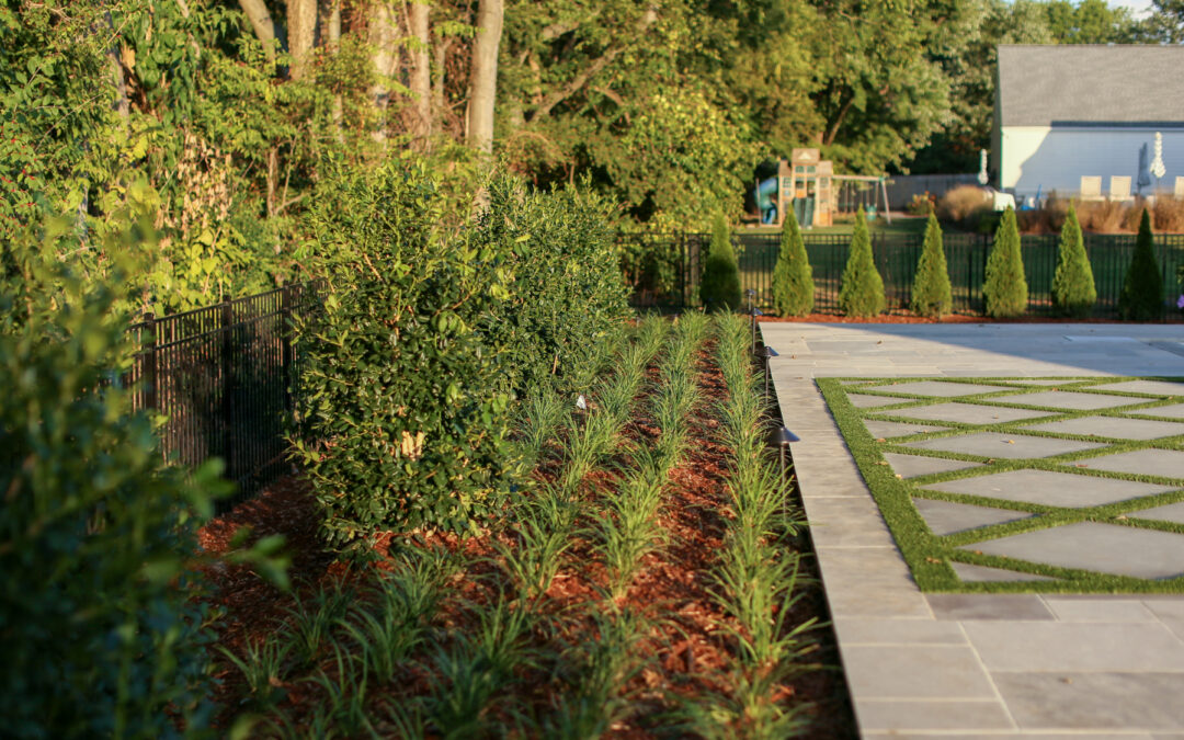 January Landscape Prep: The Middle Tennessee Checklist for a Healthy Spring Garden