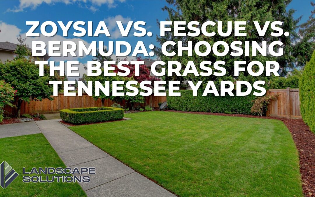 Zoysia vs. Fescue vs. Bermuda: Choosing the Best Grass for Tennessee Yards