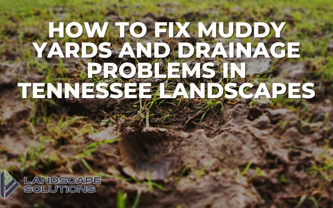 How to Fix Muddy Yards and Drainage Problems in Tennessee Landscapes