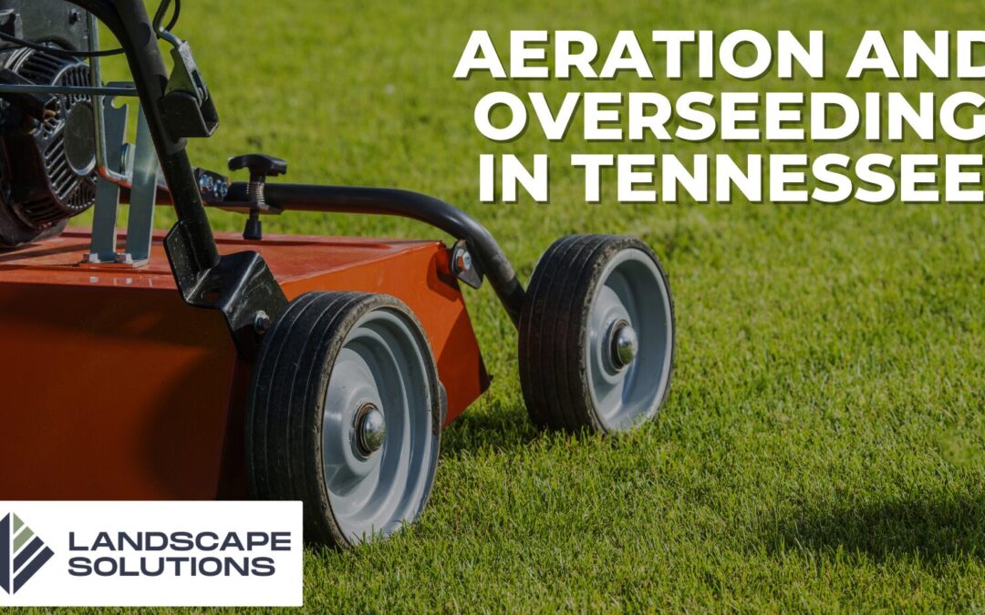 Aeration and Overseeding in Tennessee: How to Get a Thicker, Healthier Lawn