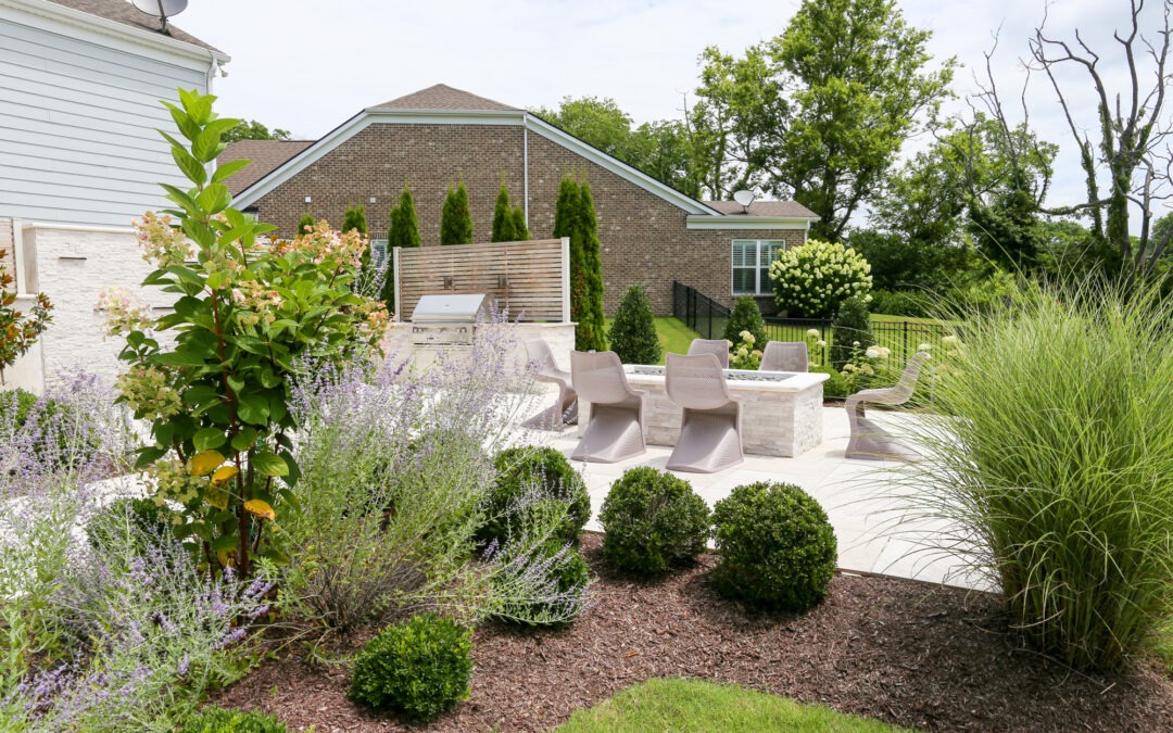 Native Plant Design in Modern Yards: Elegant, Ecological, and Perfect for Tennessee Properties