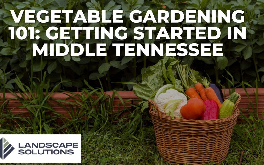 Vegetable Gardening 101: Getting Started in Middle Tennessee