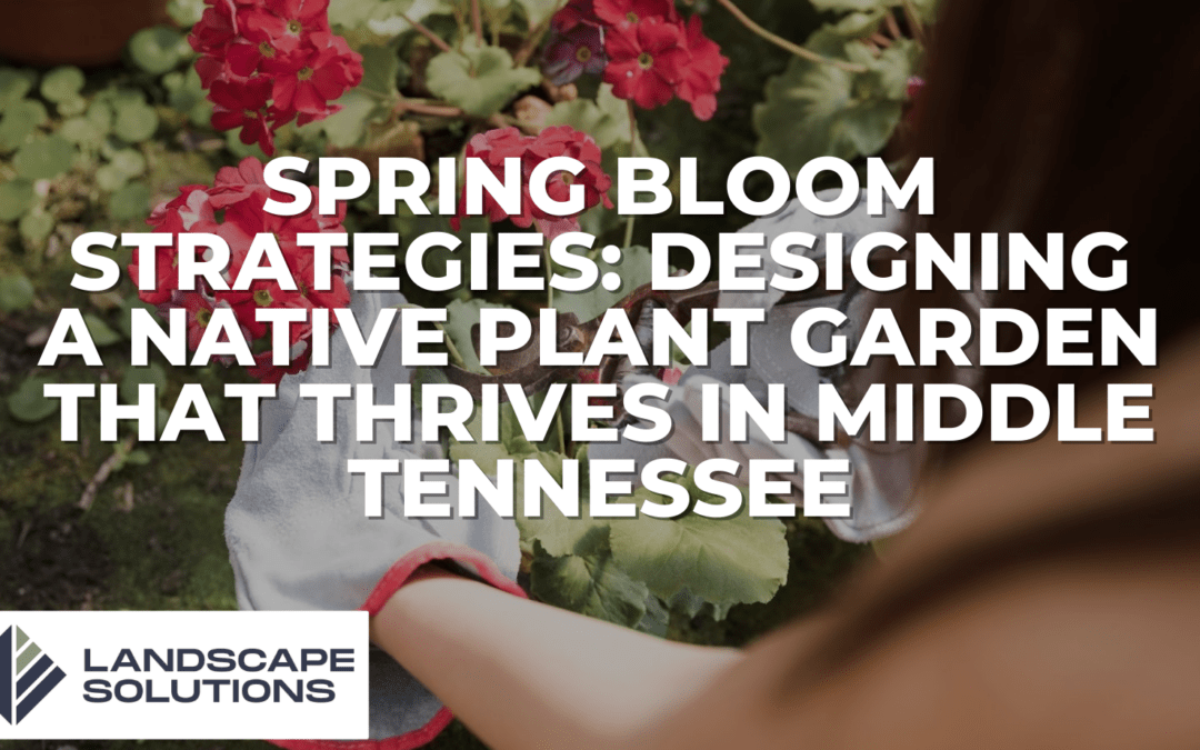 Spring Bloom Strategies: Designing a Native Plant Garden That Thrives in Middle Tennessee