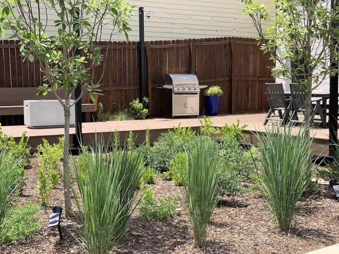 Native Plant Design