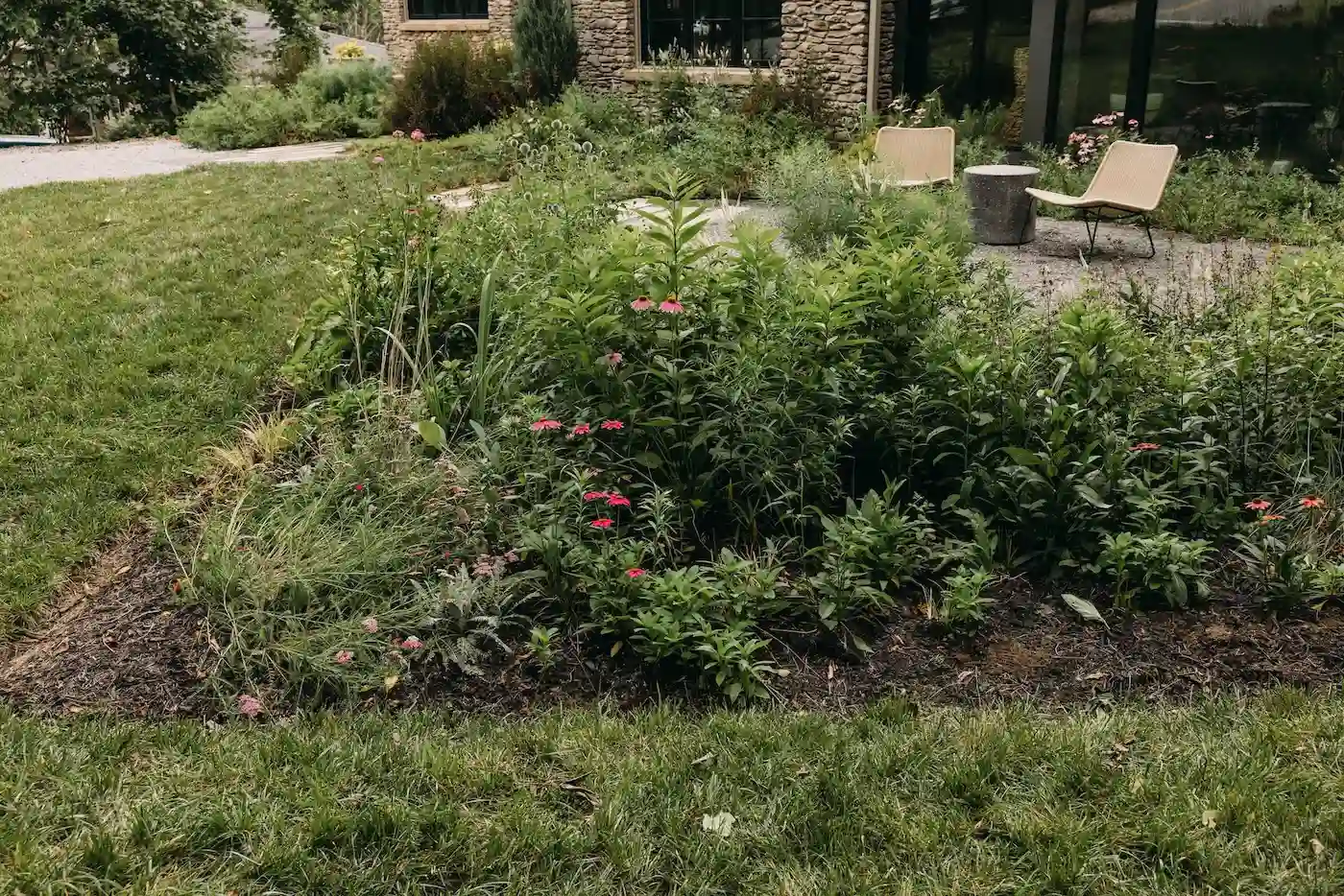 Rain Gardens