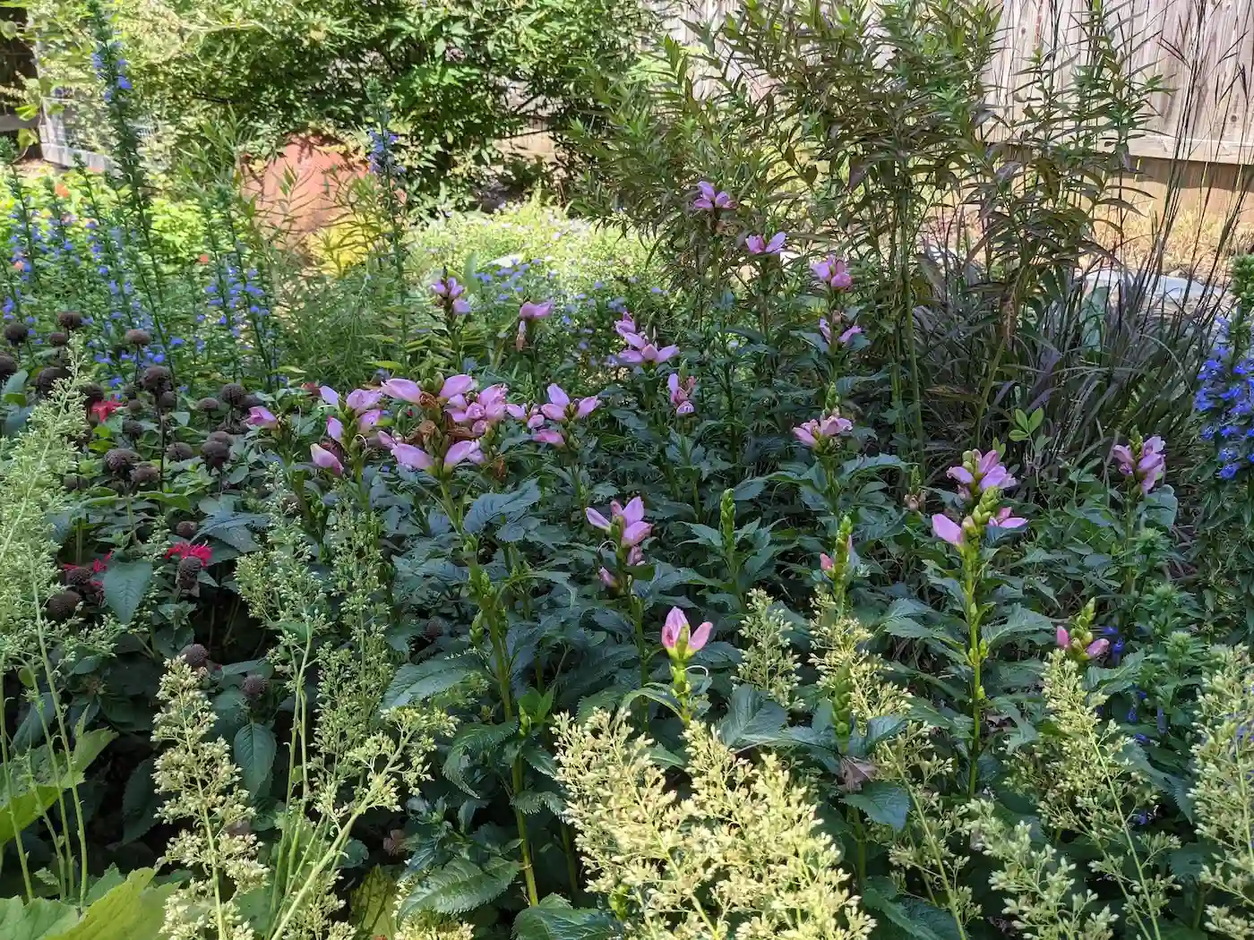 Seasonal Plantings & Color