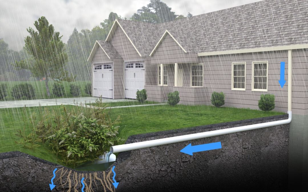 Rain Gardens in Nashville: Turning Spring Rainfall into a Landscape Asset