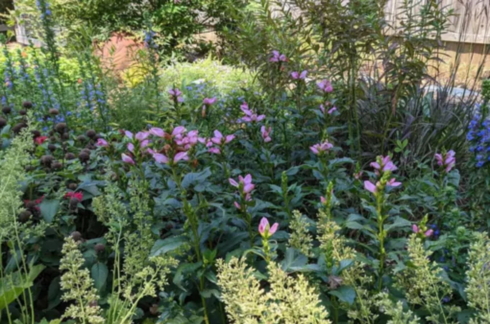 Seasonal Plantings