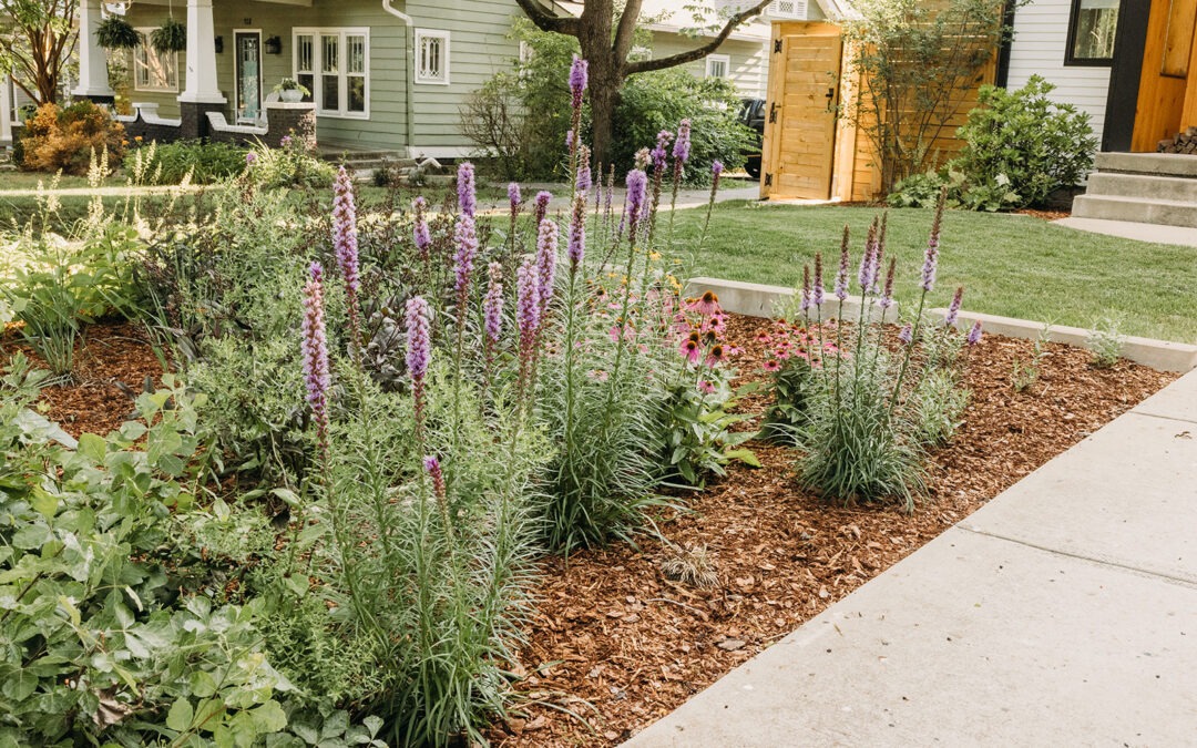 Managing Fast Spring Growth: Pruning, Weeding, and Maintenance That Keep Landscapes Polished