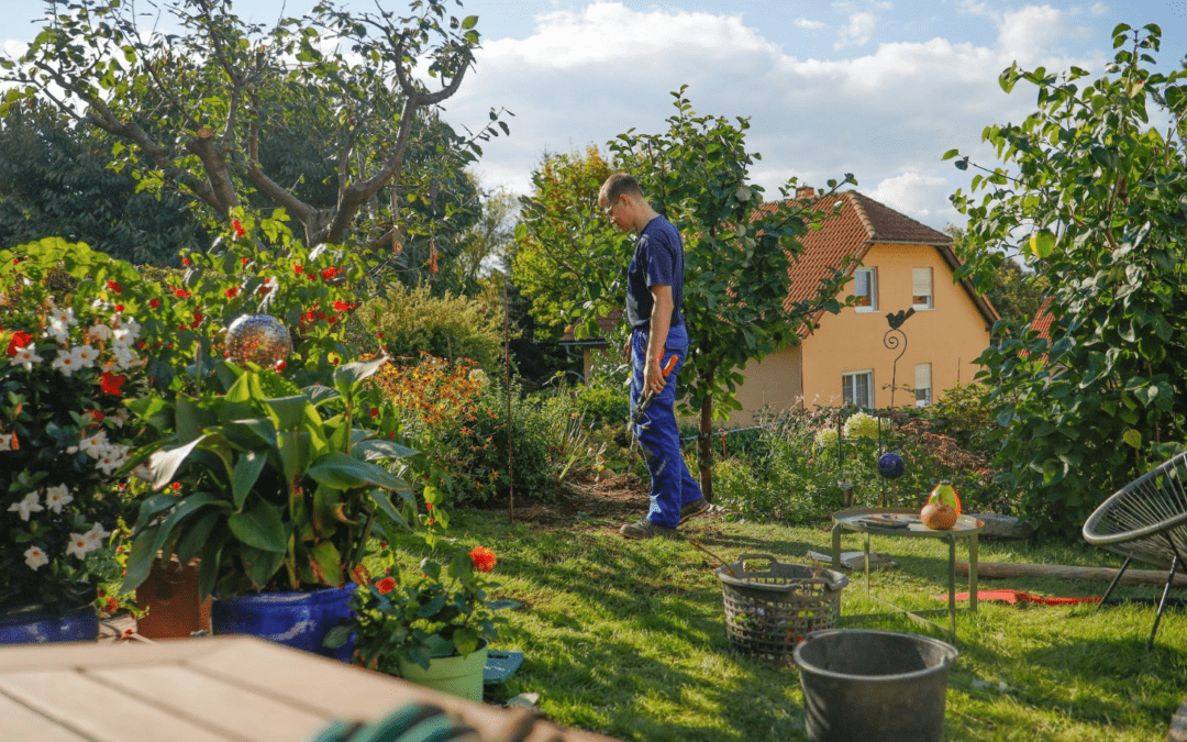 Low-Maintenance Landscaping Nashville: Why Summer Care Still Matters for High-End Outdoor Spaces