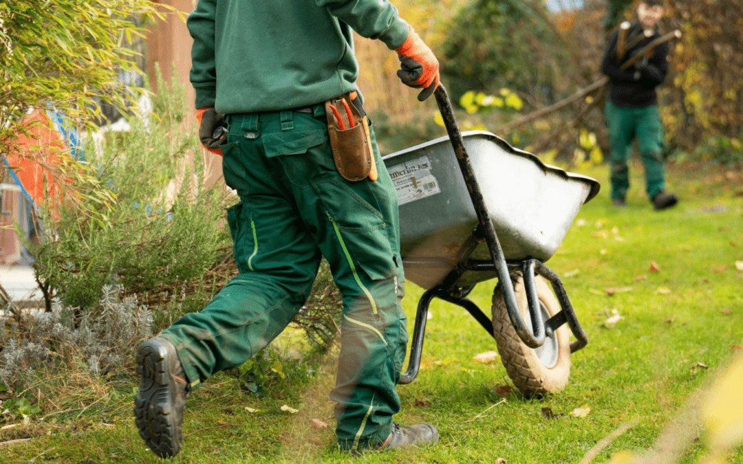 Landscape Renovation: When It’s Time to Build Instead of Patch