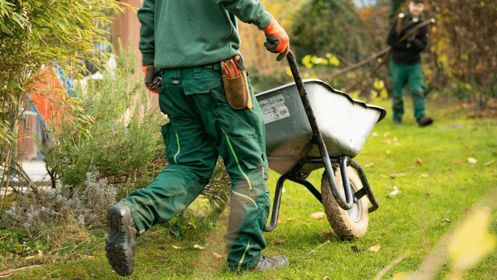 Landscape Renovation 