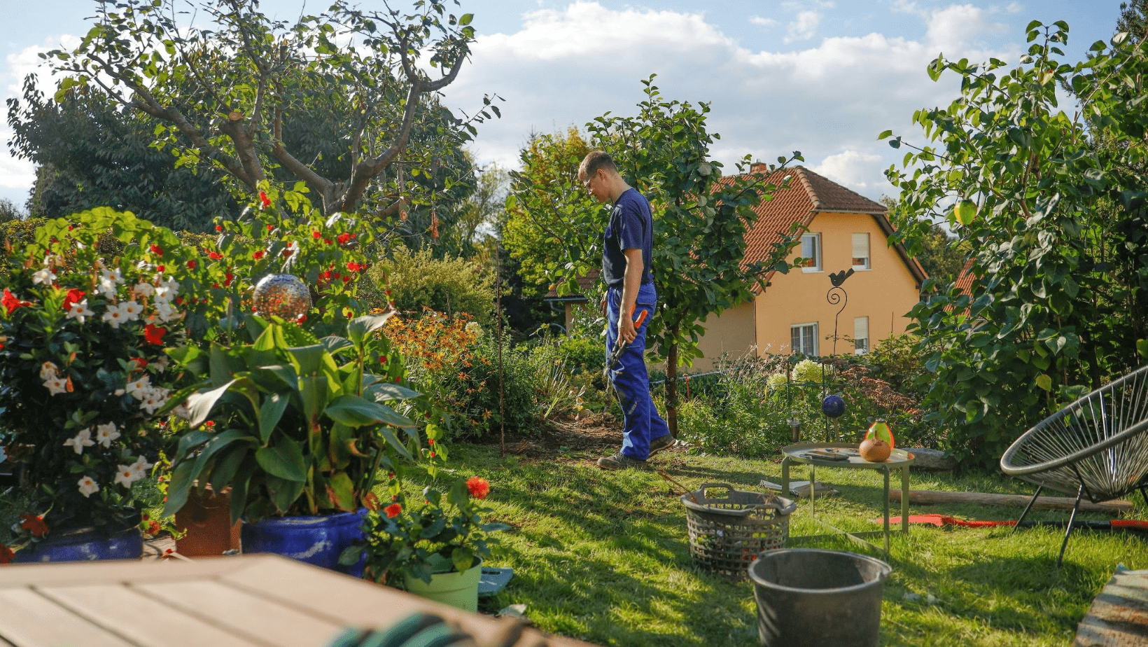 Low-Maintenance Landscaping Nashville