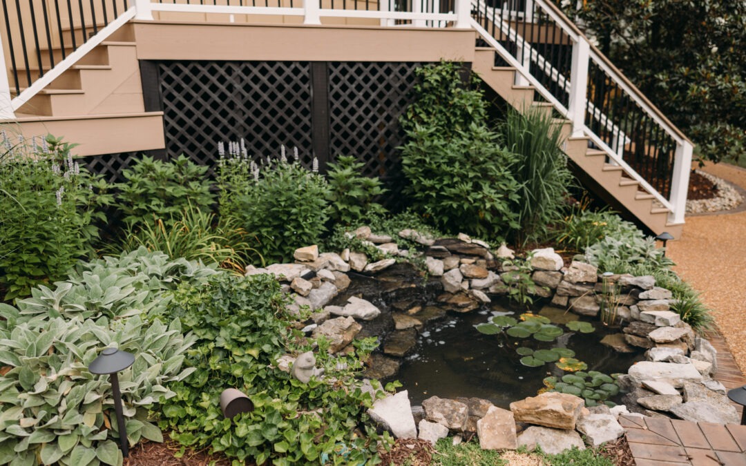 What Should a Professional Landscape Design Include?